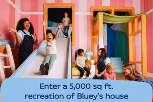 Play inside Bluey and Bingo's room at Bluey x CAMP: Bluey's House