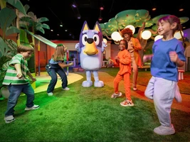 Bluey x CAMP: Bluey’s Backyard