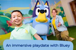 An immersive family playdate with Bluey herself at Bluey's Backyard at CAMP